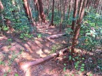 カマド山へ向かう下り坂