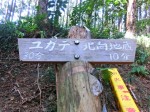 ユガテへの分岐