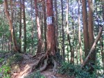 スカリ山登山口