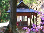 北向地蔵をあとに物見山を目指す