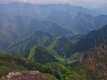 大持山手前の展望ポイントより奥多摩・奥秩父の山々を展望