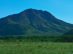 ワタスゲと太郎山