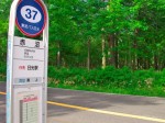 赤沼よりバスに乗車し登山口の二荒山神社へ向かう