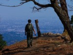 大持山の東肩に到着
