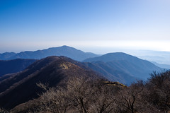 丹沢表尾根と大山＠塔ノ岳