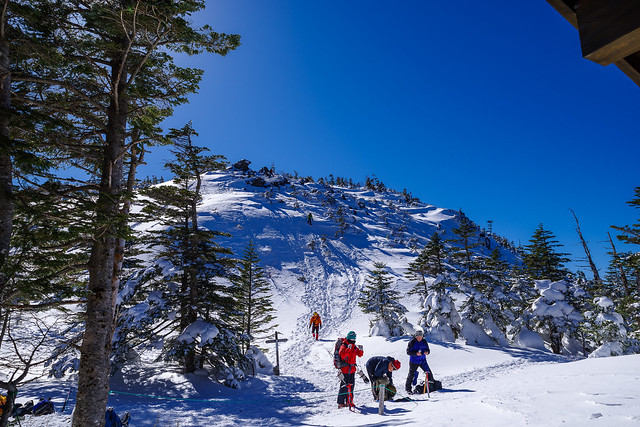 奥庭ルートから下山する登山者