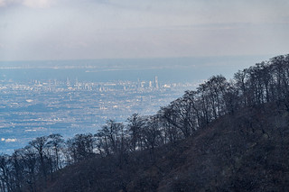 横浜市街