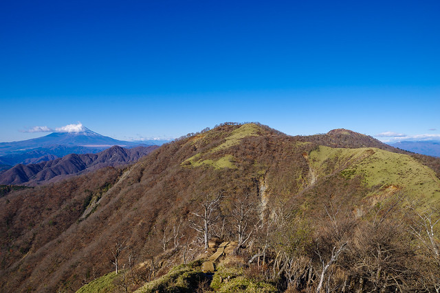 丹沢山を下って不動ノ峰へ