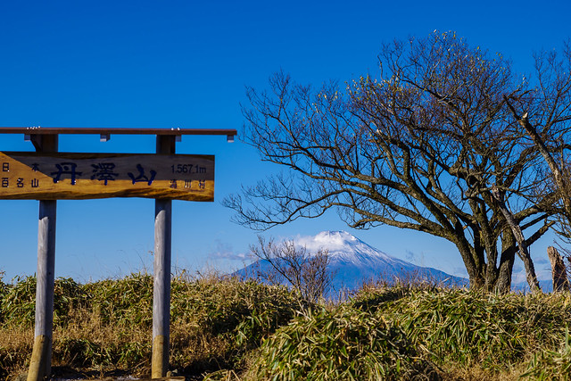 丹沢山頂より富士山