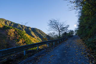 塩水林道