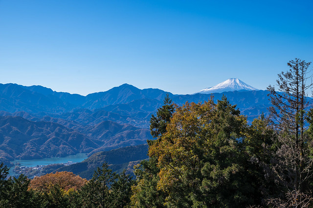 富士と相模湖@景信山