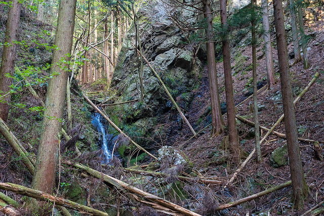 山中へ至尾根へ登っていく