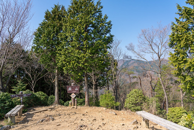 蕨山展望台