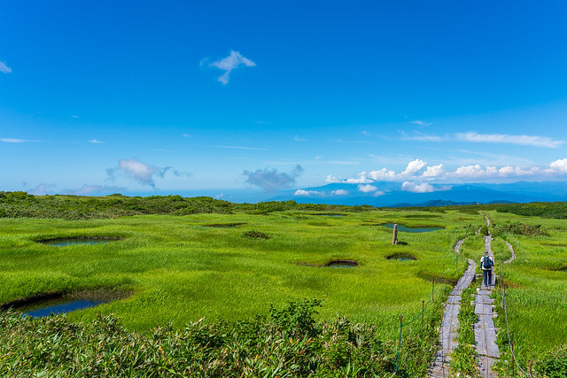 弥陀ケ原湿原