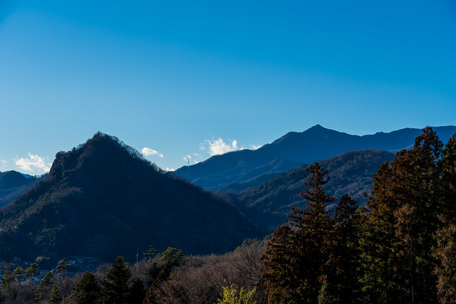岩殿山と滝子山を見上げる