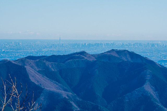 生籐山・連行峰の先にスカイツリー@権現山