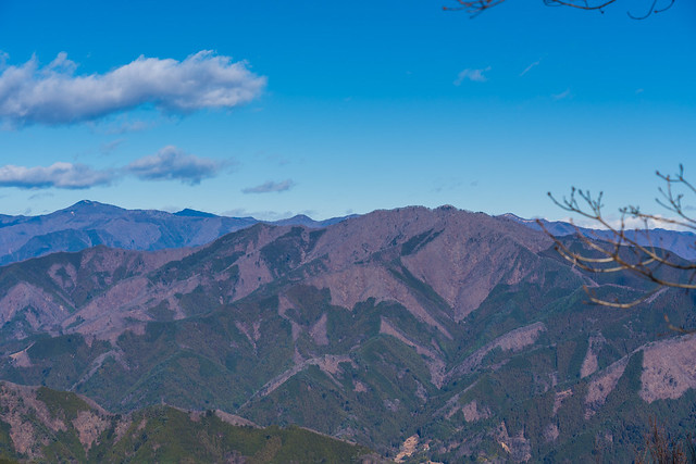 三頭山m左奥に雲取山@権現山