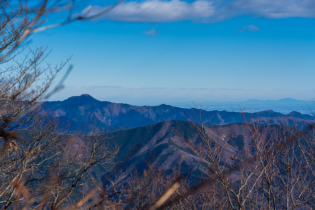 笹尾根越しに高々と大岳山@権現山