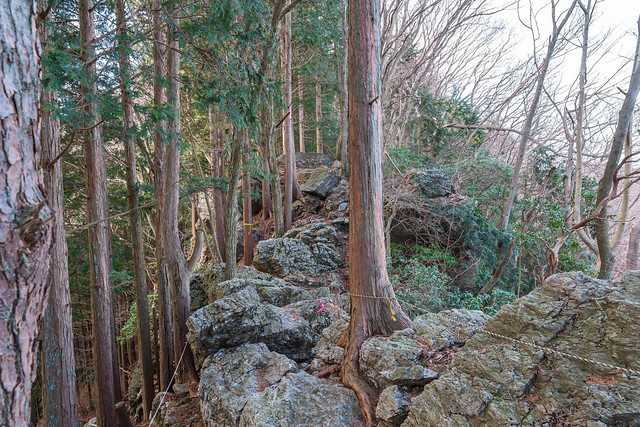 カバ岳手前の岩場