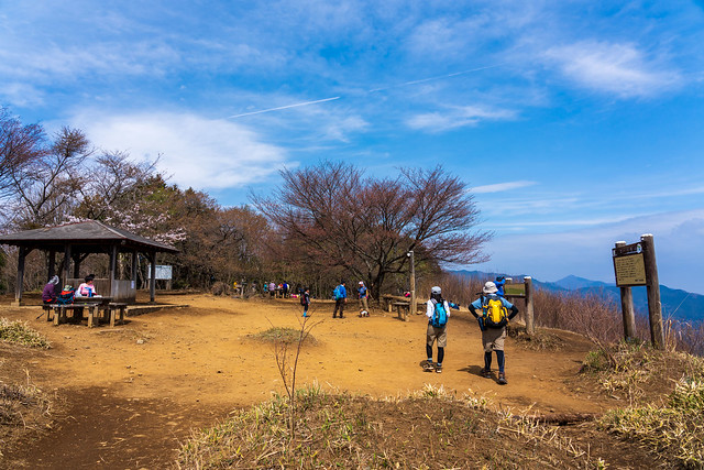 棒ノ嶺山頂
