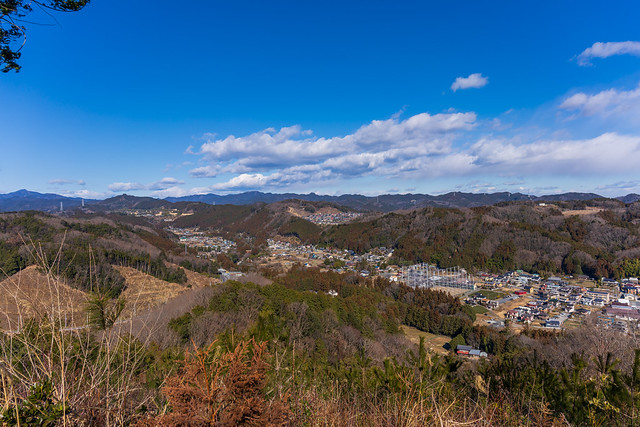 20200206_我街・奥武蔵の山々＠龍崖山