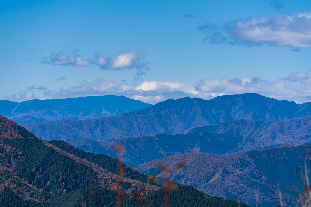 飛龍山の左奥に国師ヶ岳＠大岳山