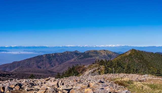 西篭ノ登山と湯ノ丸山の背後に連なる北アルプス@東篭ノ登山