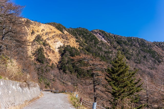 水ノ塔山を見上げながら林道歩き