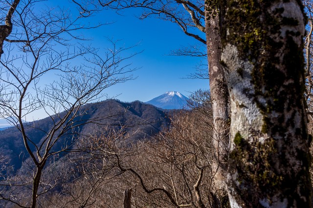 富士山と菰釣山@中ノ丸