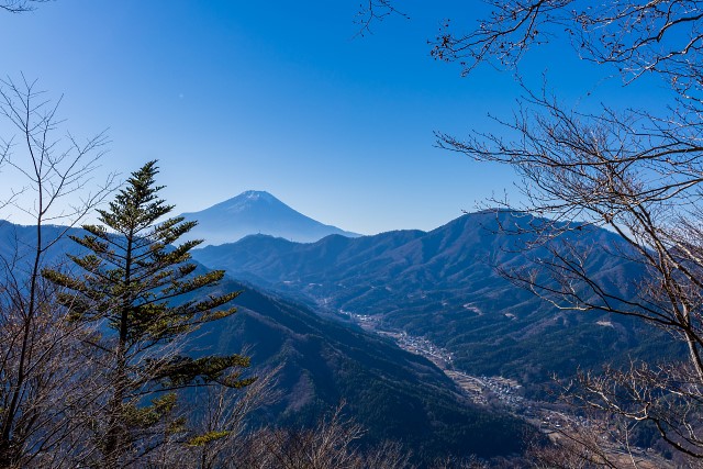 富士山と御正体山@鳥ノ胸山