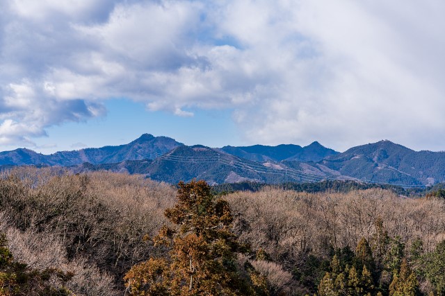 大岳山、麻生山、日出山@赤ぼっこ