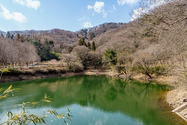谷津池越しに鐘撞堂山
