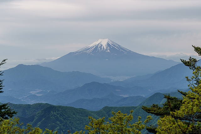 富士山を仰ぐ@三頭山