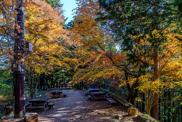 紅葉が見頃の長尾平へ