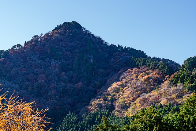 長尾平より観る奥の院