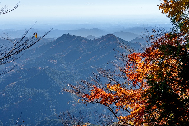 伊豆ヶ岳より眺める子の山（子ノ権現）