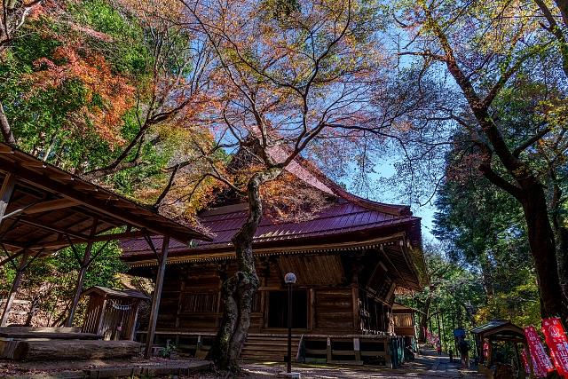 紅葉の残る高山不動尊