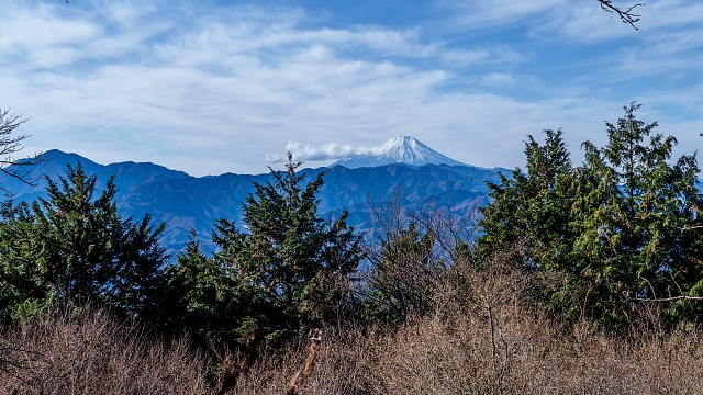 明王峠から仰ぐ富士山と大室山
