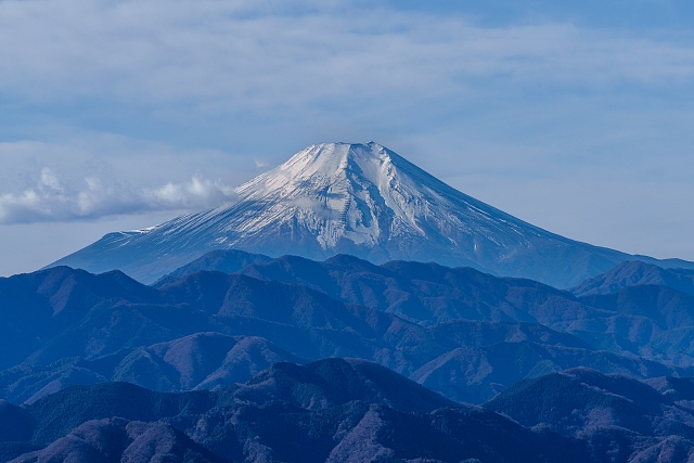 富士山を仰ぐ@陣馬山