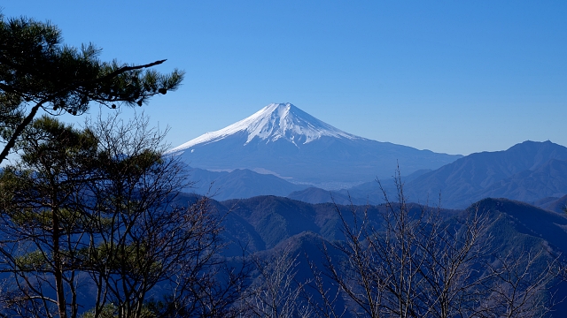 笹尾根に登る登山道より観る富士山