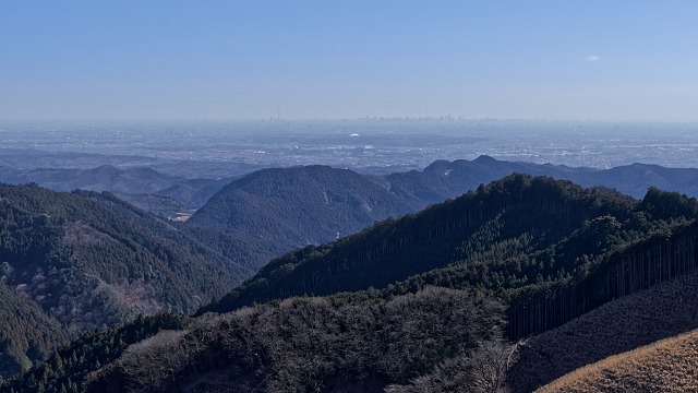 伐採帯からの展望・・雷電山の背後に都心ビル群