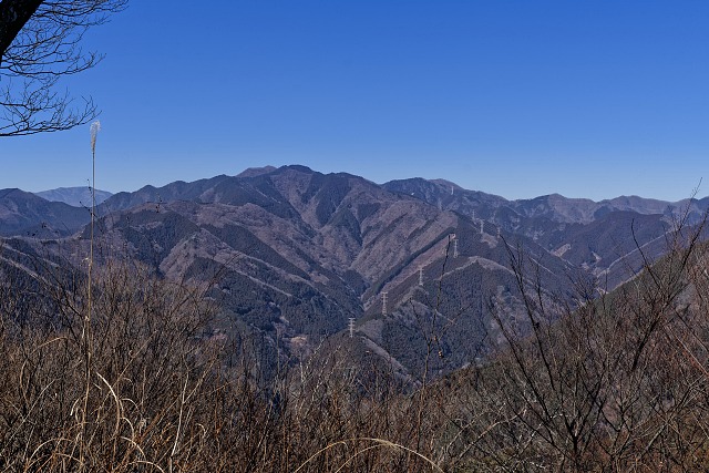 川苔山と雲取山(左隅)@岩茸石山