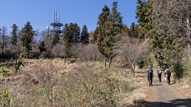 日影林道から小仏城山の山頂へ