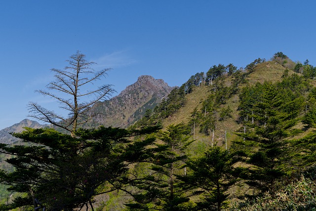 石鎚第一休息所から眺める石鎚山