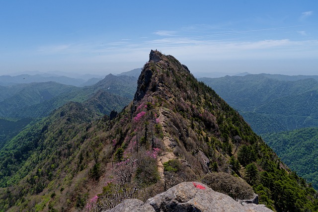 弥山から眺める天狗岳・・・アケボノツツジが綺麗！