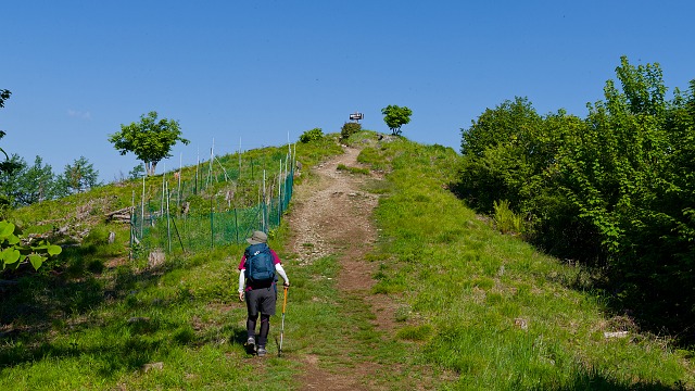 守屋山の山頂へ