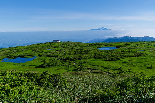 弥陀ヶ原湿原と鳥海山