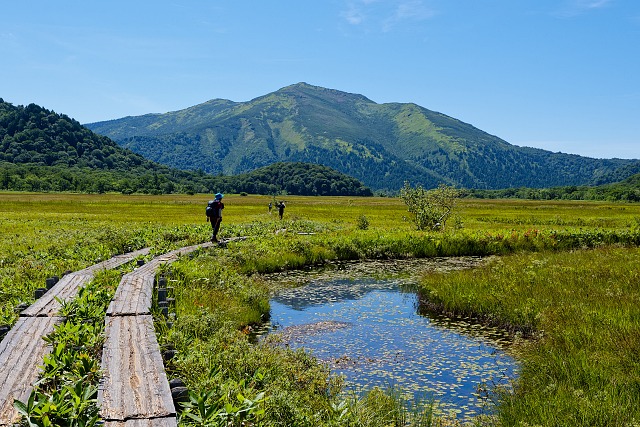 池塘のヒツジグサと至仏山を鑑賞しながら歩む