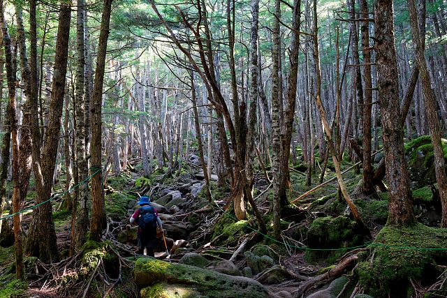 ニュウへ向かう登山道