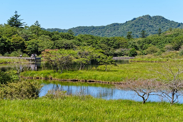 覚満淵の光景